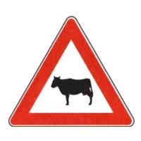 Official traffic sign for this question